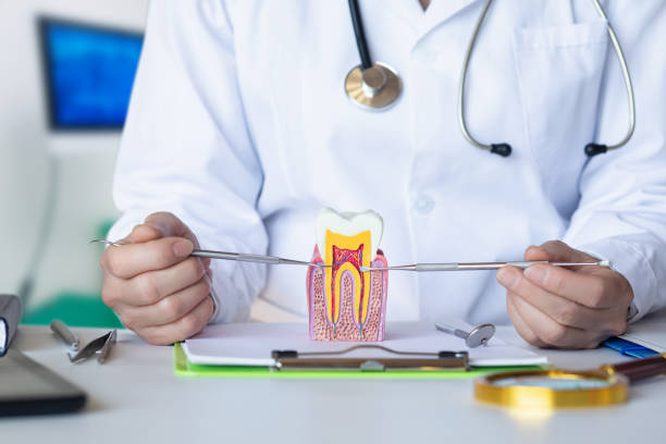 Best Broken or Cracked Tooth Emergency Dentist in Huntsville, AR